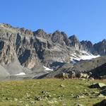 mit Blick auf den Piz Tuoi überqueren wir die Alp Furcletta