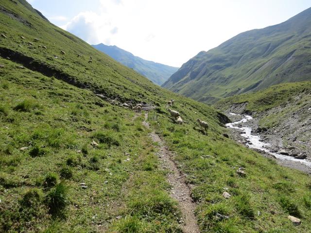 auf der orographisch linke Seite der Aua d'Urezzas wandern wir weiter talauswärts