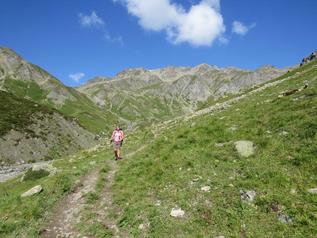 meine Maus geniesst das wandern