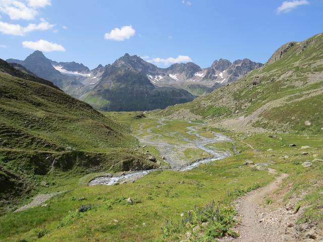 am Horizont erkennen wir die Haagspitze mit dem Totenfeldgletscher. Daneben Madlenerspitze und Getschnerspitze