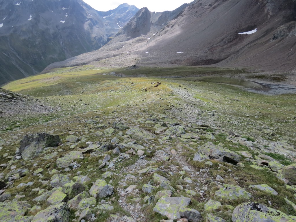 Blick hinunter zum Talende der Val Prüna