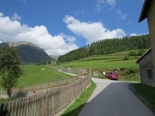 über gepflegte Wiesen und einem Fahrweg...