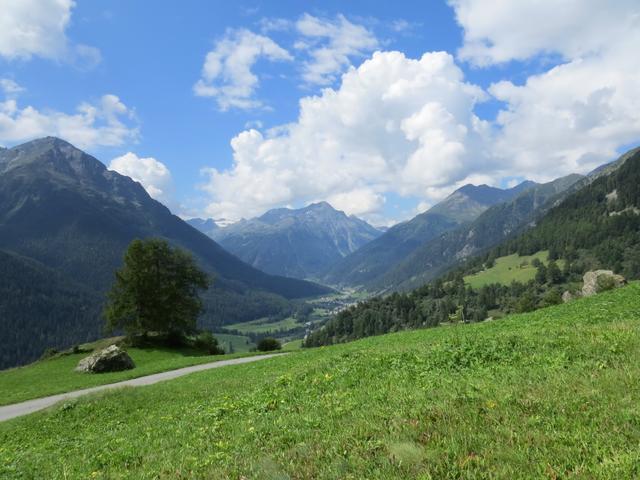 wir blicken Richtung Susch und Piz Arpschella und den Vadret da Sarsura