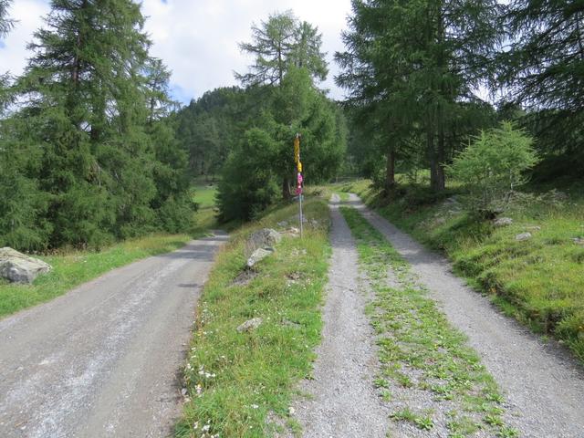 bei Punkt 1716 biegen wir rechts ab. Geradeaus führt die Naturstrasse weiter taleinwärts Richtung Tuoi Hütte