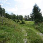 der Wanderweg führt nun steiler aufwärts