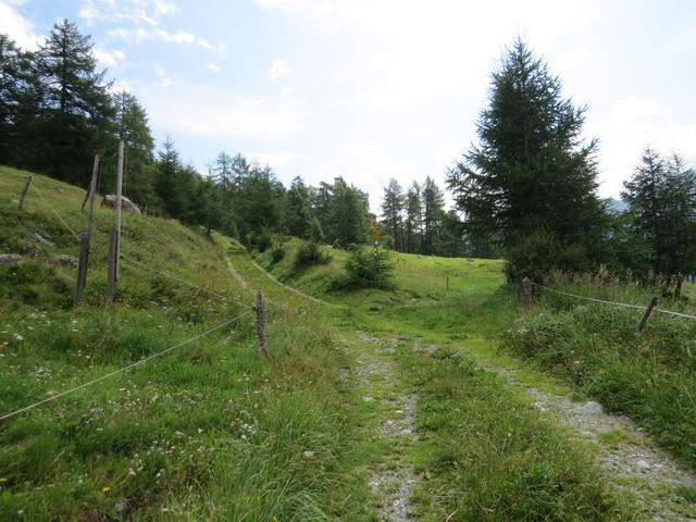 der Wanderweg führt nun steiler aufwärts