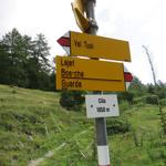 bei Clüs 1850 m.ü.M. erreichen wir die nächste Weggabelung