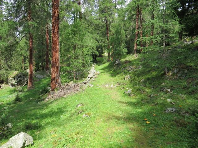 mässig steil aufwärts führt uns der schöne Wanderweg...