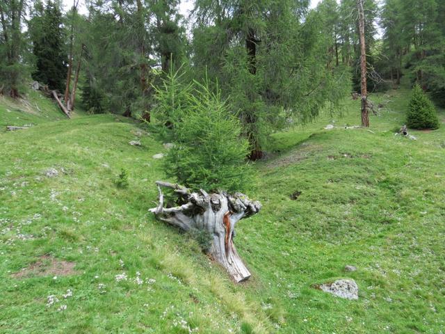 bei der Wegverzweigung 1947 m.ü.M...