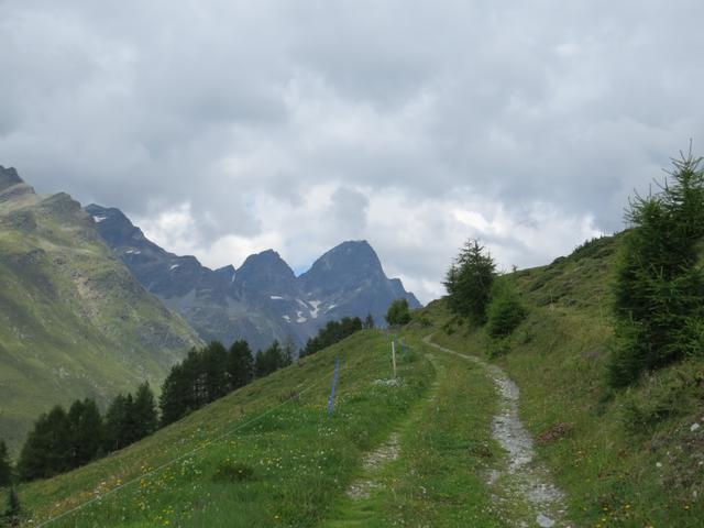 wir biegen links ab und wandern nun auf der Alpstrasse...