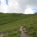 der bis jetzt gut markierte Weg führt uns an Punkt 2299 m.ü.M. weiter aufwärts