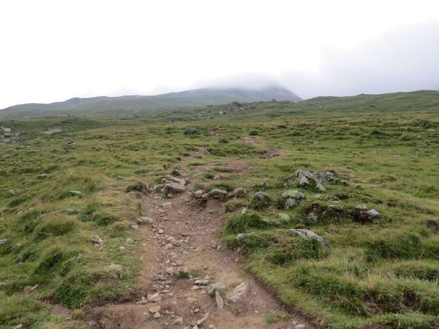 über Alpweiden und einen immer gut ersichtlichen Wanderweg wandern wir alles aufwärts Richtung Fuorcla Val Gronda