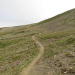 der Wanderweg führt uns nun in einem Bogen am Berghang des Piz Davo Sassè entlang