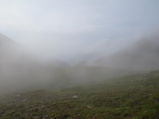 so dichten Nebel wurde in den Wetterprognosen nicht erwähnt