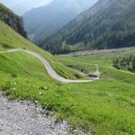 ...dann parallel zu einer Schlucht hinabwindet 2298 m.ü.M. verlieren wir rasch an Höhe