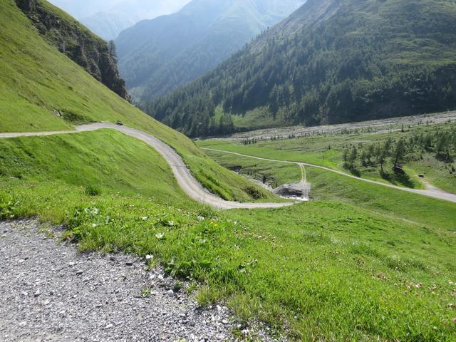 ...dann parallel zu einer Schlucht hinabwindet 2298 m.ü.M. verlieren wir rasch an Höhe