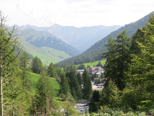 wir wandern nun nur noch leicht abfallend, parallel zum Bach talauswärts