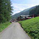 über Blumenwiesen und lichten Tannen- und Lärchenwald erreichen wir Samnaun 1830 m.ü.M.