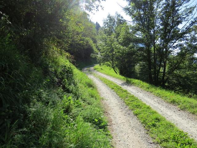 am Ortsende von Cologna verlassen wir in einer Kurve die Strasse,...