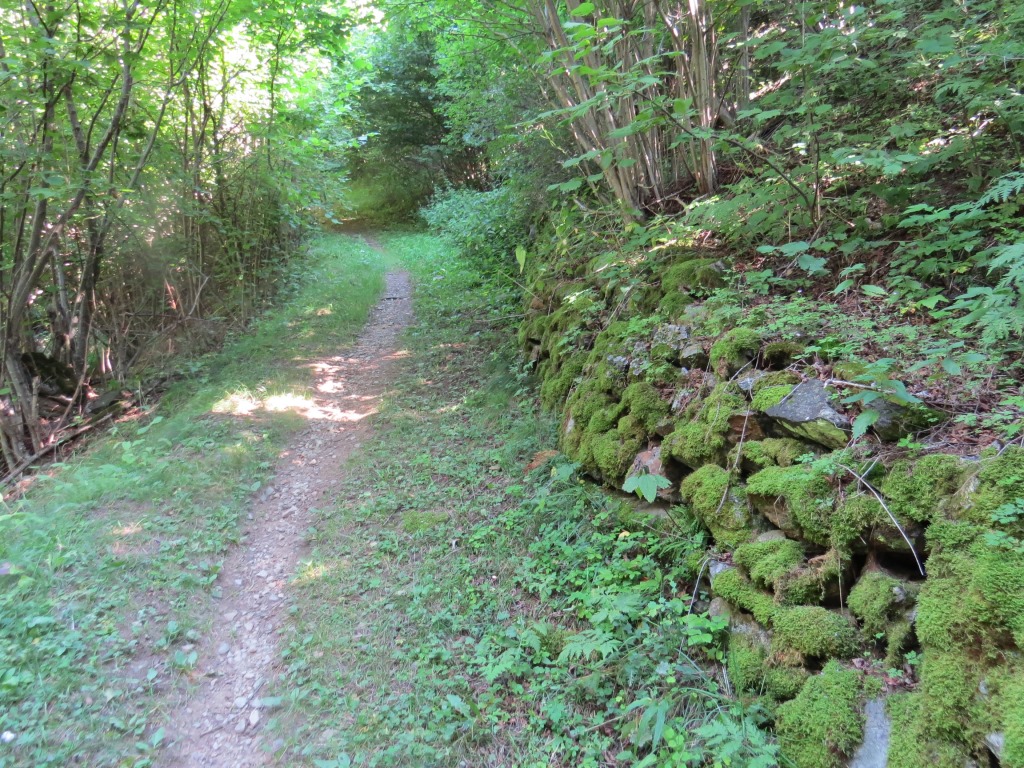 nun steigt der Weg stärker an...