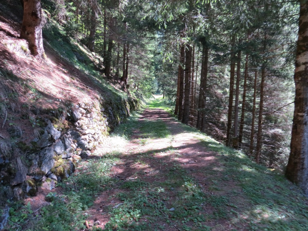 bei Plan da la Val 1481 m.ü.M. erreichen wir eine kleine Brücke