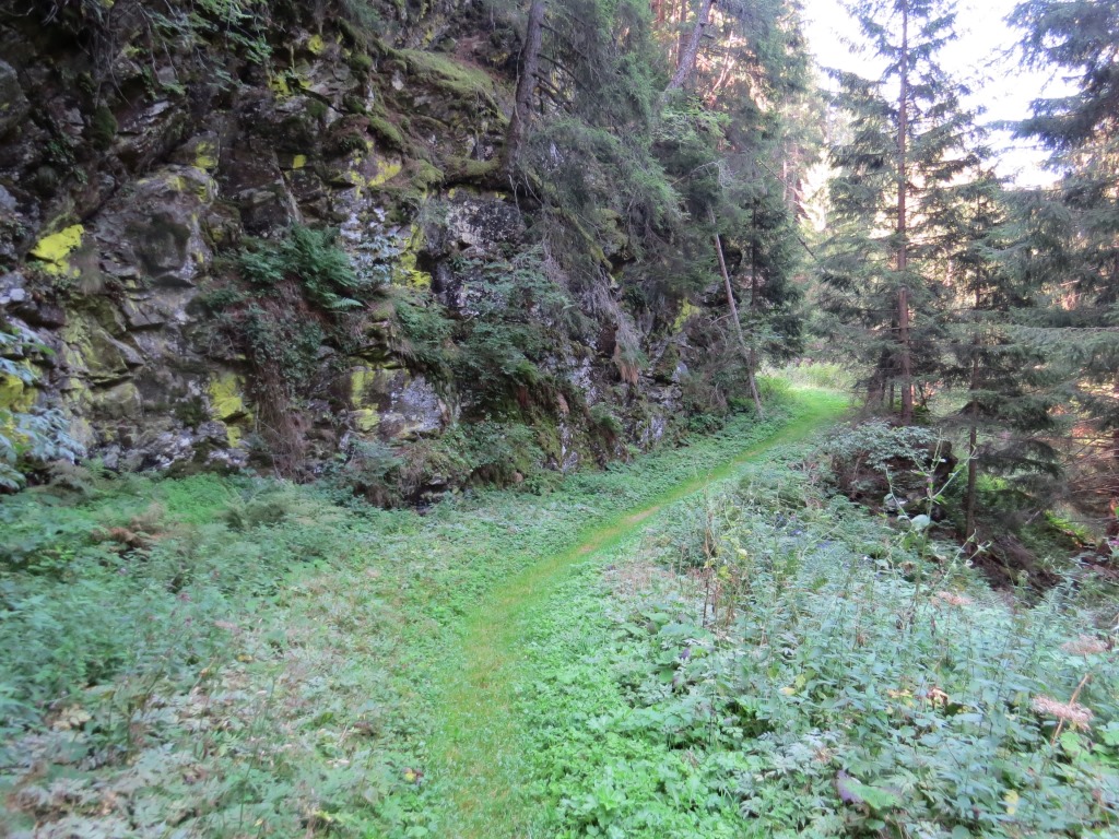 nun beginnt der eigentliche Aufstieg nach San Romerio. Mässig steil und immer angenehm zu gehen...