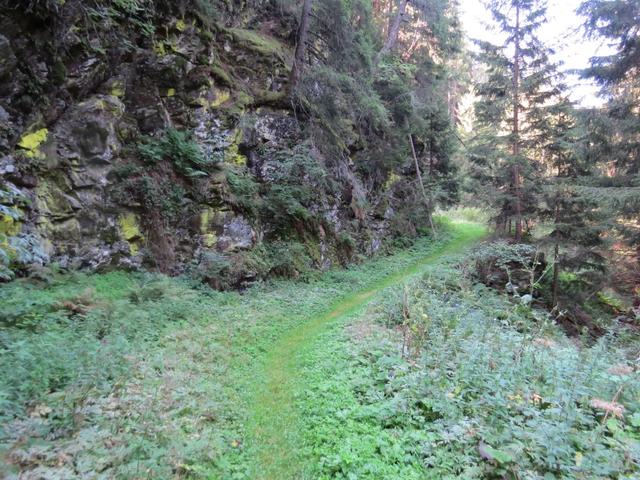 nun beginnt der eigentliche Aufstieg nach San Romerio. Mässig steil und immer angenehm zu gehen...