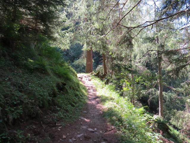 der Anstieg endet am Abzweig des Weges 1767 m.ü.M. nach Albertüsc und zur Forcola di Sassiglion