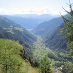 talauswärts schweift der Blick über das gesamte untere Puschlav bis zum Veltlin und nach Tirano