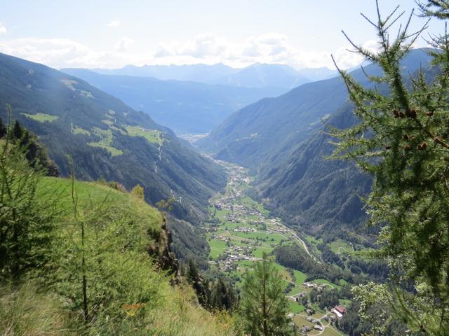 talauswärts schweift der Blick über das gesamte untere Puschlav bis zum Veltlin und nach Tirano