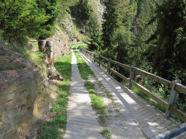 auf dem bequem zu gehenden schmalen Fahrweg...