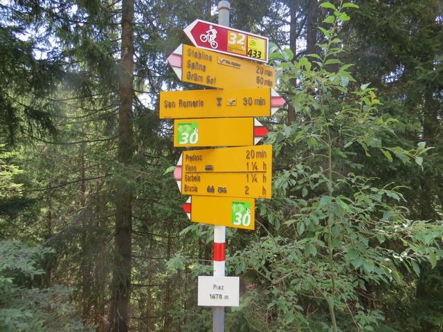 auf der Lichtung Piaz 1678 m.ü.M. folgen wir der Ausschilderung nach Viano in einen Bergweg, der bald schmaler...