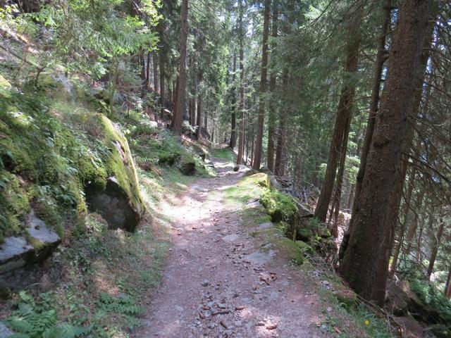 ...wird und mässig steil abwärts in einen Tobel führt. Nach einiger Zeit treffen wir auf einen Fahrweg, dem wir...