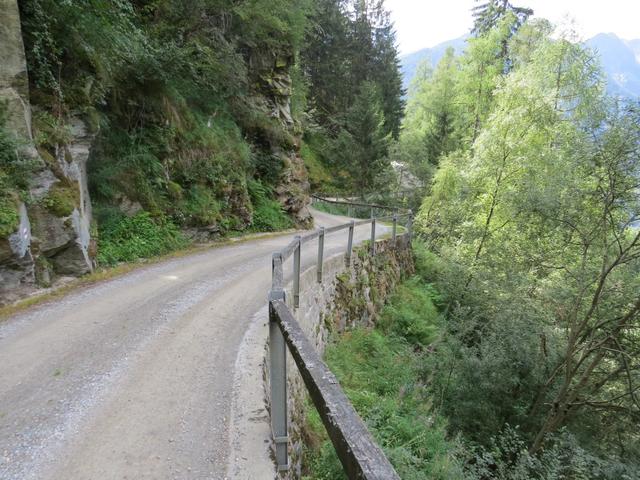 nach dem Tobel von Val Fileit, folgen wir der Markierung auf einem Pfad in den Wald hinein