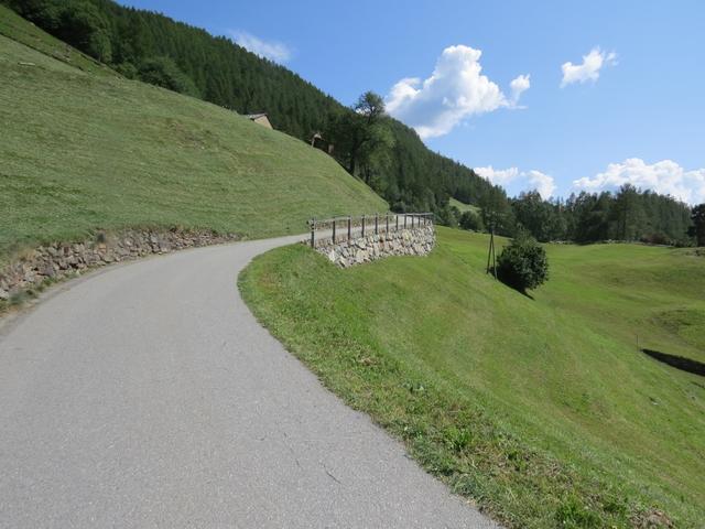 ws folgt ein letzter, mässig steiler Anstieg über die Teerstrasse hinauf nach...