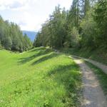 auf einem Fahrweg folgen wir dann der Ausschilderung Richtung Tirano durch die Wiesen abwärts