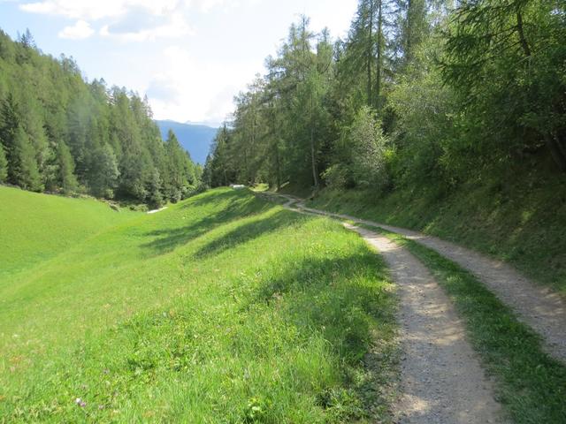 auf einem Fahrweg folgen wir dann der Ausschilderung Richtung Tirano durch die Wiesen abwärts