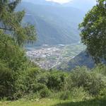 ...bietet sich ein erster Blick hinunter auf Tirano und die Weinberge des Veltlins
