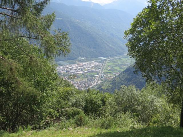 ...bietet sich ein erster Blick hinunter auf Tirano und die Weinberge des Veltlins