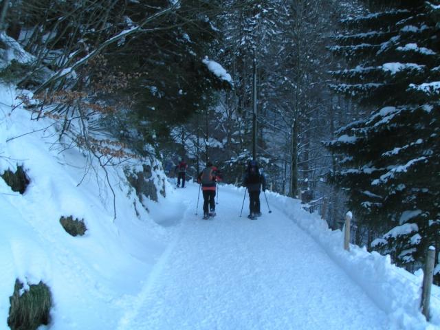 im Brüeltobel geht's aufwärts