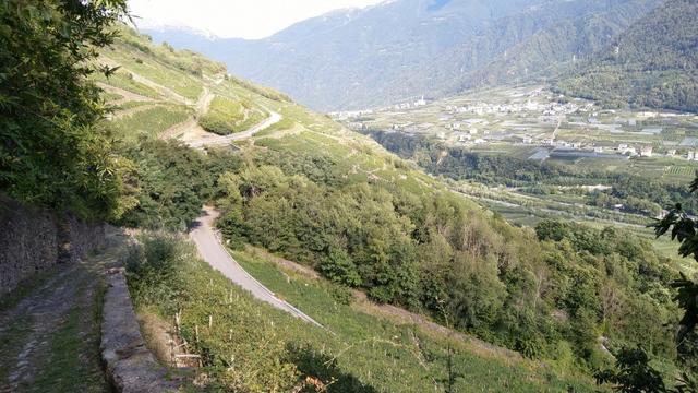 wir biegen in die mit Trockenmauern (man schätzt ihre Länge auf über 2.500 km), terrassierten Weinberge hinein