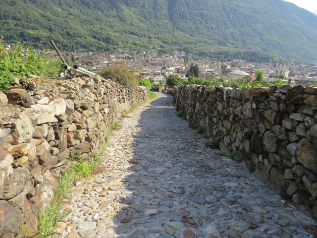 die terrassierten Weinberge reichen bis an den Ortsrand von Tirano