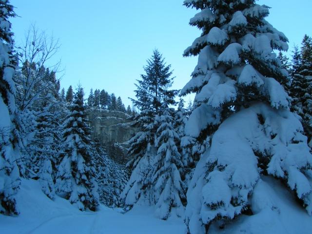 eine Märchenlandschaft