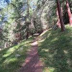 der Wanderweg kürzt die grosse Schleife der Alpstrasse