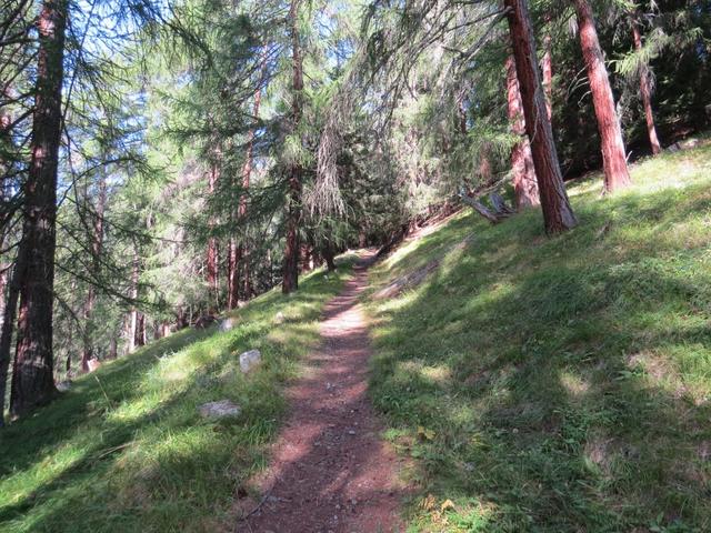 der Wanderweg kürzt die grosse Schleife der Alpstrasse