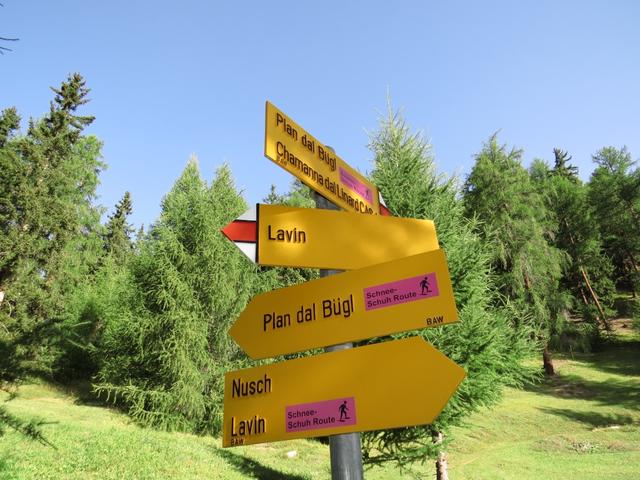 bei Punkt 1697 m.ü.M. kreuzen wir wieder die Alpstrasse