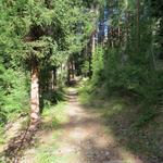 der sehr reizvolle Wanderweg führt steil und direkt aufwärts in den schönen Wald von God Laret