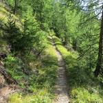 bei Punkt 1829 m.ü.M. kreuzen wir wieder die Alpstrasse. Der Wanderweg führt weiter geradeaus aufwärts