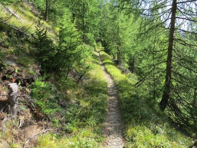 bei Punkt 1829 m.ü.M. kreuzen wir wieder die Alpstrasse. Der Wanderweg führt weiter geradeaus aufwärts