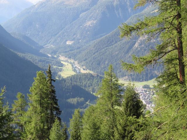 durch die Lärchen hindurch, in östlicher Richtung hat man einen schönen Tiefblick auf das Unterengadin